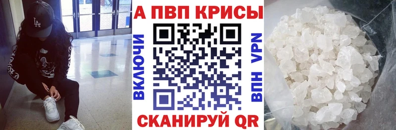 Alfa_PVP СК КРИС Вятские Поляны