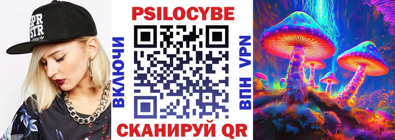 Купить закладки  Вятские Поляны  Псилоцибиновые грибы Magic Shrooms 